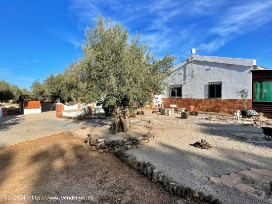  Chalet en Roquetes zona Roquetes - TARRAGONA 