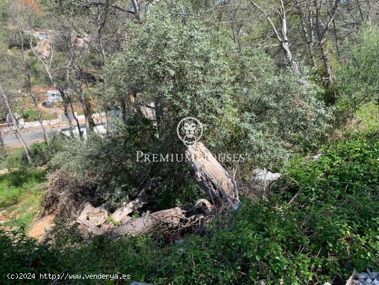 Terreno con vista despejada a la venta en Mas Alba - BARCELONA