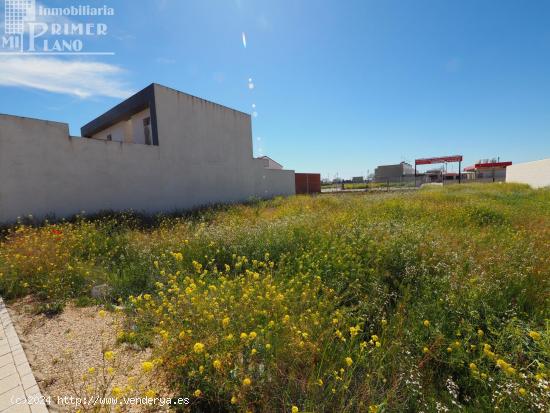 Se vende solar en el poligono 20 tomelloso con 230 m2 y 12 metros de fachada - CIUDAD REAL