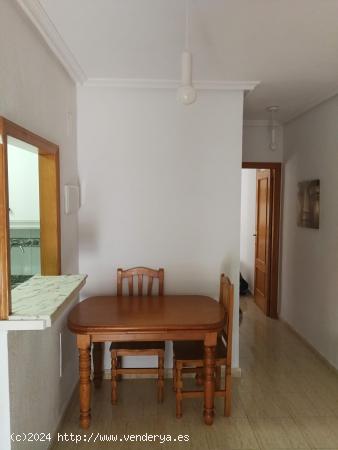 APARTAMENTO DE 1 DORMITORIO A 400 METROS DE LA PLAYA DE LOS LOCOS - ZONA TORREVIEJA - - ALICANTE