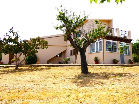 Montuïri, finca rústica en venta. - BALEARES