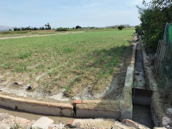 TIERRA DE CULTIVO EN  EL SALAR COX - ALICANTE