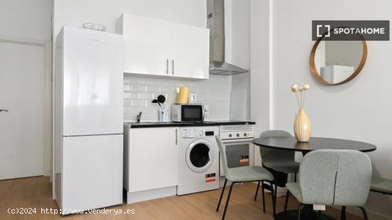 Apartamento entero de 1 habitaciones en Madrid - MADRID