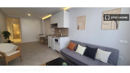 Apartamento entero de 1 habitaciones en Madrid - MADRID