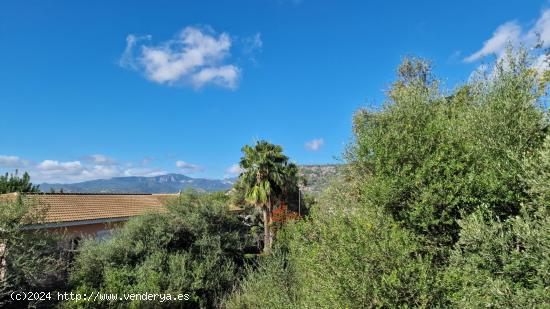 SOLAR URBANO - ZONA BUNYOLA - SA COMA - BALEARES