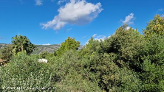 SOLAR URBANO - ZONA BUNYOLA - SA COMA - BALEARES