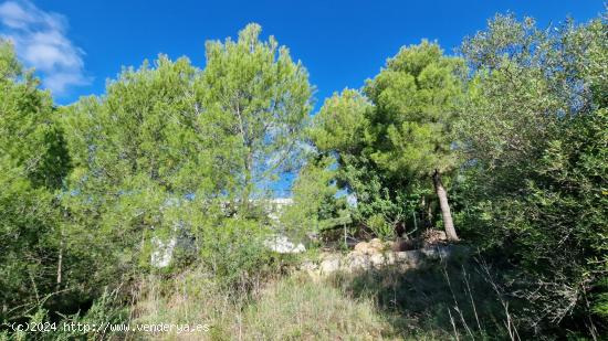 SOLAR URBANO - ZONA BUNYOLA - SA COMA - BALEARES