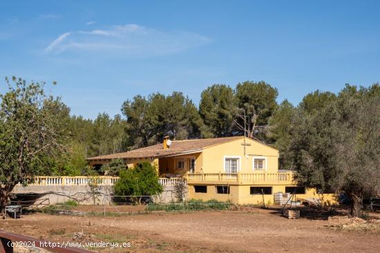 FINCA A LA VENTA EN BETERA, CHALET, HÍPICA Y RESTAURANTE - VALENCIA