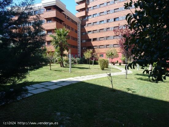  LUMINOSO PISO EN CAMPUS - GRANADA 