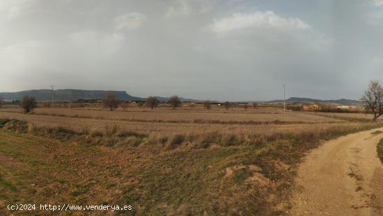  GRAN OCASION-PARCELA RUSTICA  DE 40.000 METROS MUY CERCA DE ALMANSA - ALBACETE 