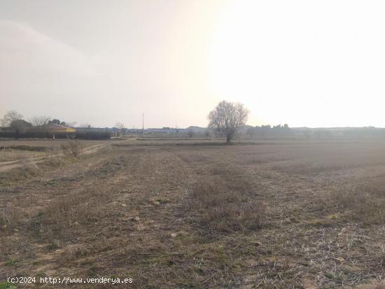 GRAN OCASION-PARCELA RUSTICA  DE 40.000 METROS MUY CERCA DE ALMANSA - ALBACETE