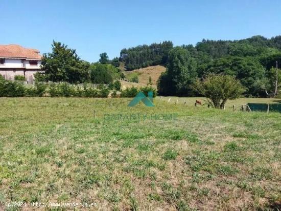 Se Vende en Hazas de Cesto - CANTABRIA