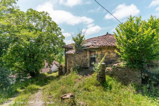  Casa en Troncedo 7,Tineo - ASTURIAS 