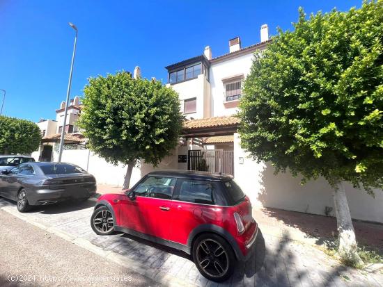 BAJO CON PISCINA Y JARDÍN EN URBANIZACIÓN HATO VERDE, PAJANOSAS-GUILLENA. - SEVILLA