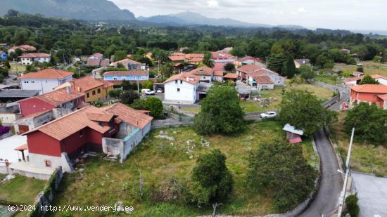 VENTA DE FINCA A 2 KM DE LOS BUFONES DE PRIA - ASTURIAS