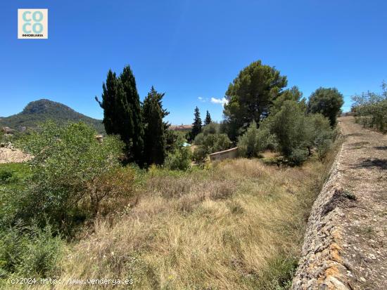 SOLAR URBANO EN PUIGPUNYENT. - BALEARES