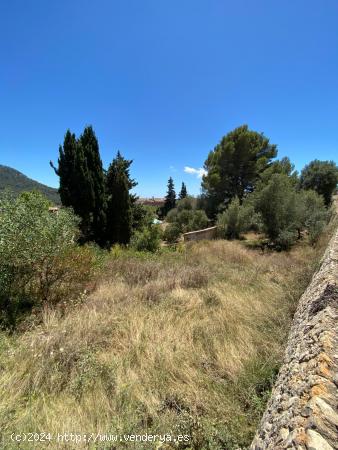 SOLAR URBANO EN PUIGPUNYENT. - BALEARES