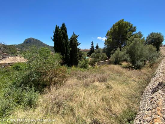 SOLAR URBANO EN PUIGPUNYENT. - BALEARES