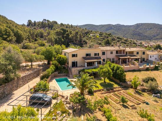 Pareado en el pueblo de Andratx - BALEARES