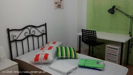  HABITACIONES PARA CHICAS ESTUDIANTES - MURCIA 