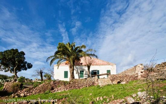 Predio de 137 hectáreas con vistas al mar - BALEARES