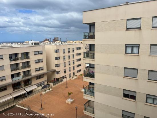 Se Alquila en Las Palmas de Gran Canaria - LAS PALMAS