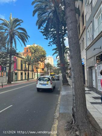 Se Alquila en Las Palmas de Gran Canaria - LAS PALMAS