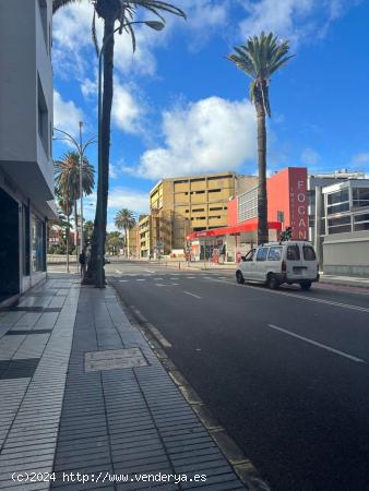 Se Alquila en Las Palmas de Gran Canaria - LAS PALMAS