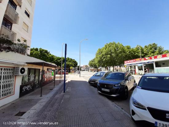 Local en Playa de Gandía  - VALENCIA