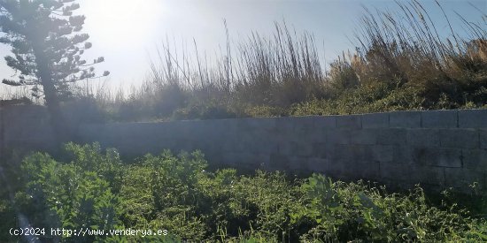 Nave industrial en venta  en Motril - Granada