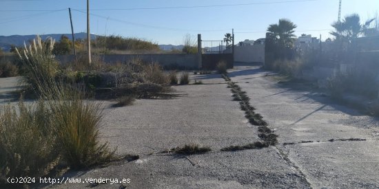 Nave industrial en venta  en Motril - Granada