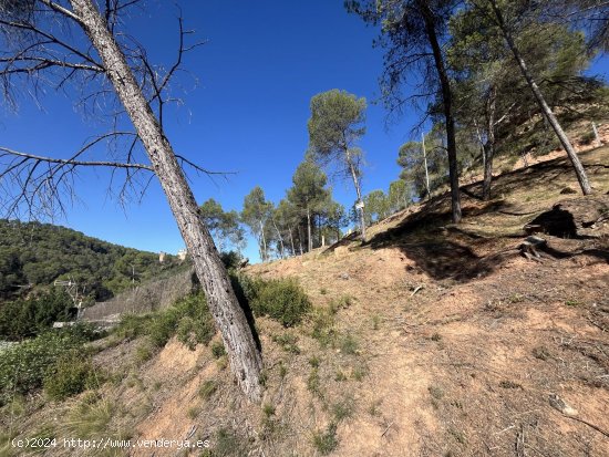 Suelo urbano en venta  en Fals - Barcelona