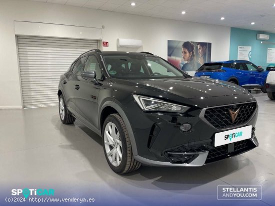 Cupra Formentor  1.5 TSI 110kW (150 CV) DSG - - Almería