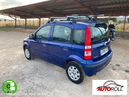 FIAT Panda en venta en BolaÃ±os de
Calatrava (Ciudad Real) - BolaÃ±os de
Calatrava