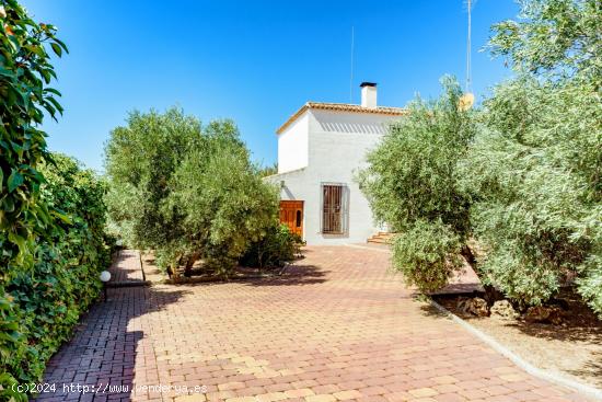 TU FINCA DE CAZA SOÑADA CON LA CASA Y EL TERRENO QUE NECESITAS YA ES POSIBLE¡¡ - ALBACETE