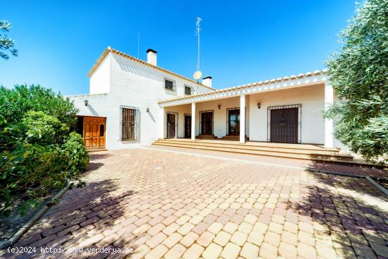 TU FINCA DE CAZA SOÑADA CON LA CASA Y EL TERRENO QUE NECESITAS YA ES POSIBLE¡¡ - ALBACETE