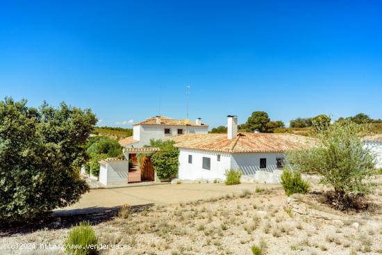 TU FINCA DE CAZA SOÑADA CON LA CASA Y EL TERRENO QUE NECESITAS YA ES POSIBLE¡¡ - ALBACETE