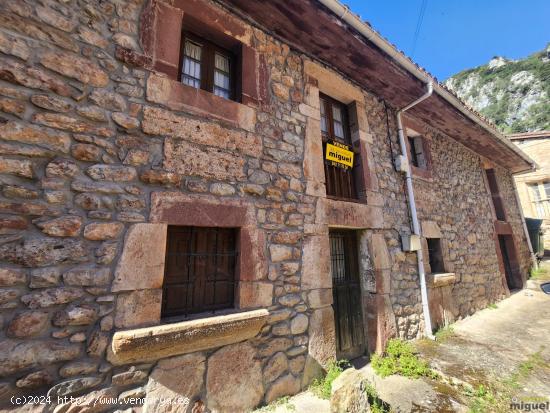 Se vende gran propiedad con terreno en La Hermida, Peñarrubia, Cantabria - CANTABRIA