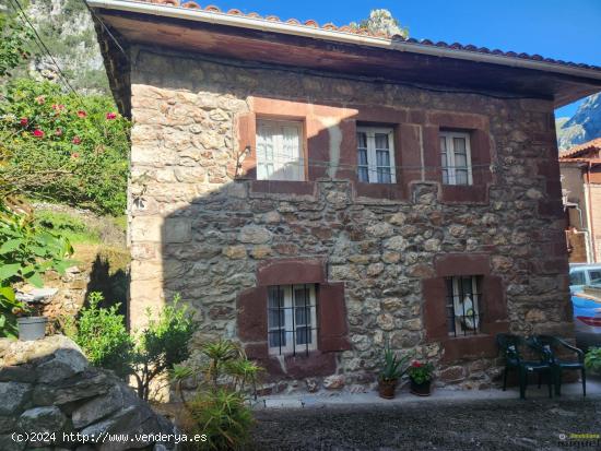 Se vende gran propiedad con terreno en La Hermida, Peñarrubia, Cantabria - CANTABRIA