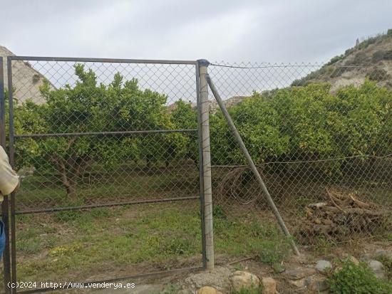 Terreno de naranjos canjayar PARAJE EL MAJUELO con olivos y arboles frutales y agua de la comunidad 