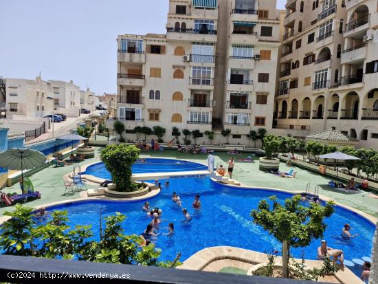 Alquiler larga duración-Playa de la Mata - ALICANTE