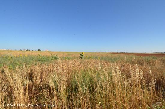  Urbis te ofrece un terreno en venta en Castellanos de Villiquera, Salamanca. - SALAMANCA 