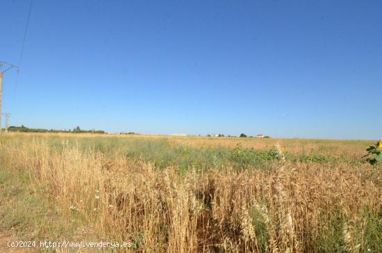 Urbis te ofrece un terreno en venta en Castellanos de Villiquera, Salamanca. - SALAMANCA