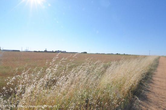 Urbis te ofrece un terreno en venta en Castellanos de Villiquera, Salamanca. - SALAMANCA