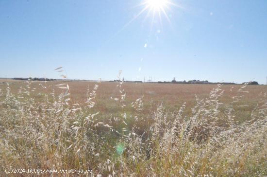 Urbis te ofrece un terreno en venta en Castellanos de Villiquera, Salamanca. - SALAMANCA