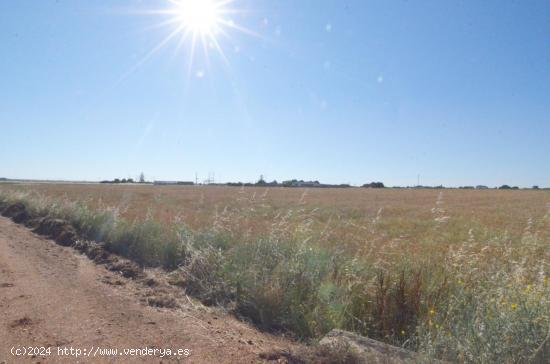 Urbis te ofrece un terreno en venta en Castellanos de Villiquera, Salamanca. - SALAMANCA