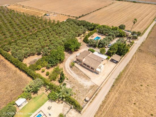 Finca Rústica con Piscina en Son Peretó - BALEARES