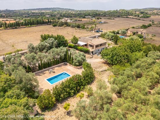 Finca Rústica con Piscina en Son Peretó - BALEARES