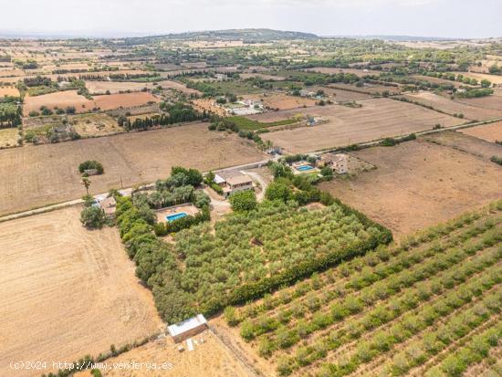 Finca Rústica con Piscina en Son Peretó - BALEARES