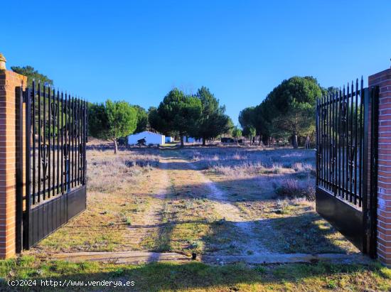  FINCA RUSTICA JUNTO CARRETERA MADRID EN LA PEDRAJA DE PORTILLO - VALLADOLID 